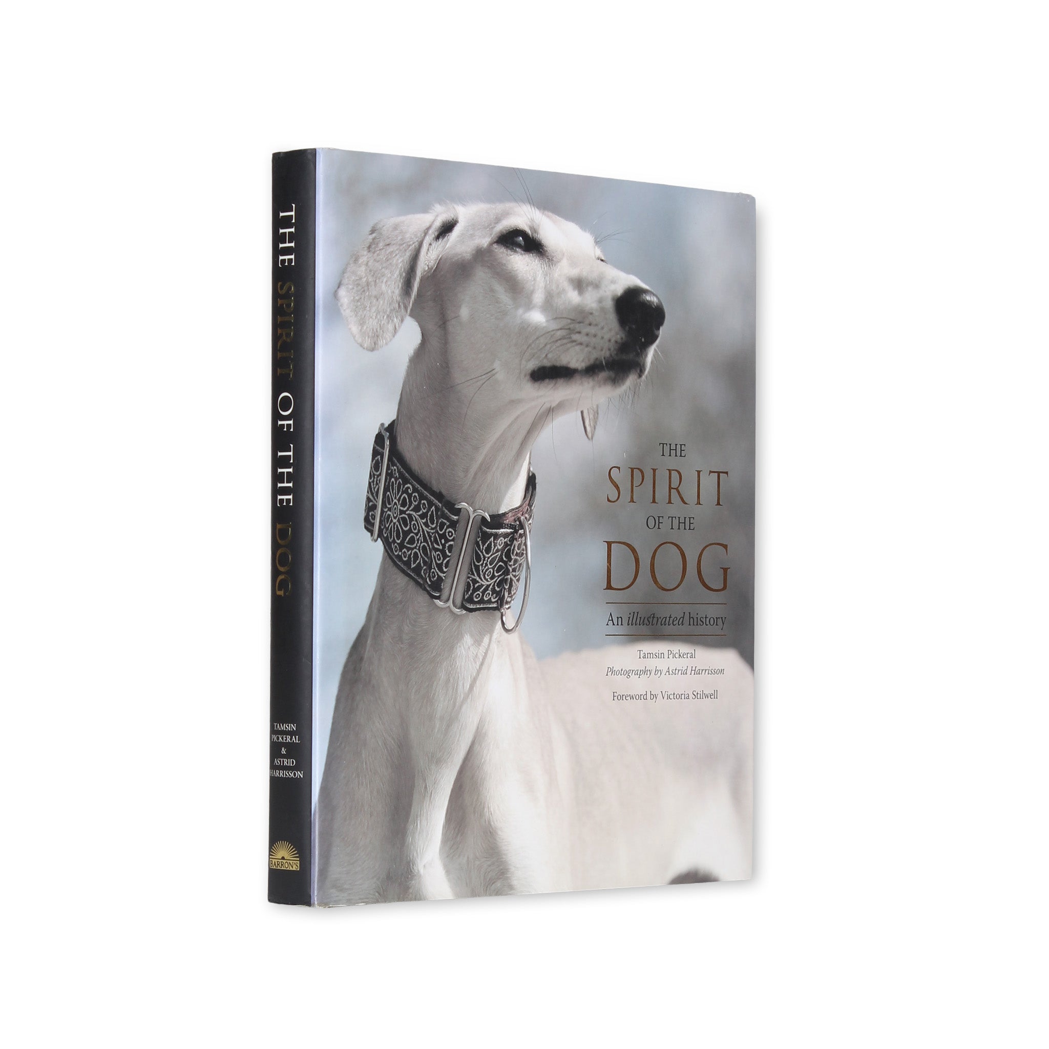 Spirit of the Dog - Coffee Table Book Safe - Secret Storage Books