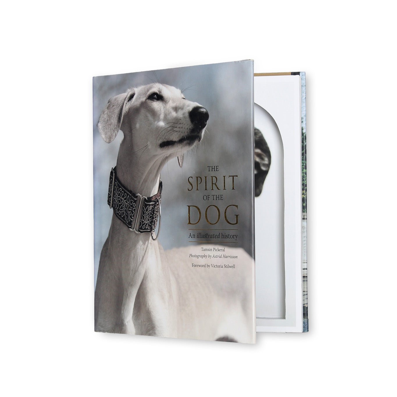 Spirit of the Dog - Coffee Table Book Safe - Secret Storage Books