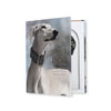 Spirit of the Dog - Coffee Table Book Safe - Secret Storage Books