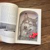 Tales of the Canadian North - Medium Book Safe - Secret Storage Books