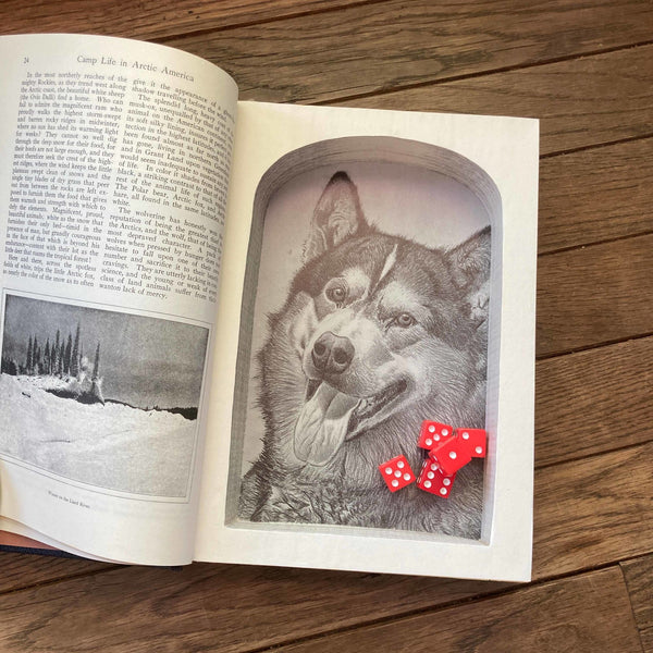 Tales of the Canadian North - Medium Book Safe - Secret Storage Books