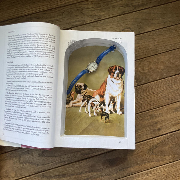 The Complete Dog Book - XL Hollow Book Safe - Secret Storage Books