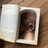 War of the Worlds - Premium Secret Storage Book Safe - Secret Storage Books