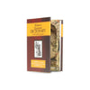 Webster's Illustrated Dictionary - Secret Hollow Book - Secret Storage Books