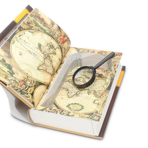 Webster's Illustrated Dictionary - Secret Hollow Book - Secret Storage Books